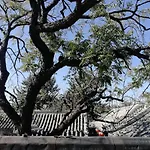 Beijing Fly By Knight Courtyard